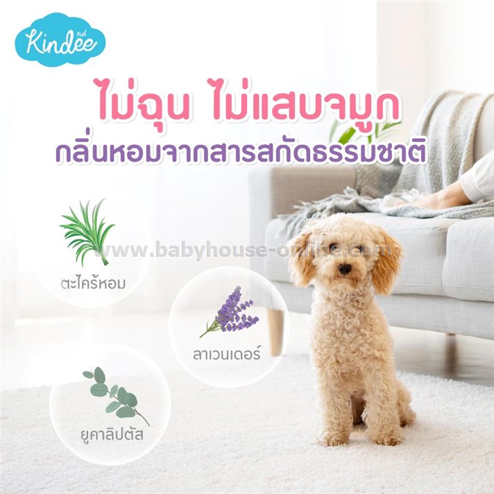 Kindeeเครื่องไล่ยุงไร้สาย+ผลิตภัณฑ์กันยุง ชนิดน้ำแบบเติม กลิ่นตะไคร้หอม 45มล.